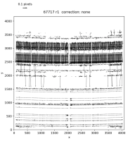 Screen Shot 2022-06-15 at 2.56.25 PM.png